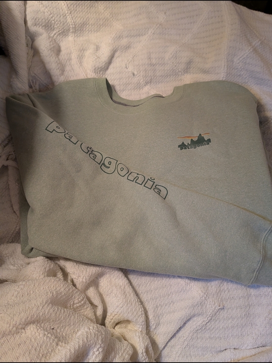 Patagonia Tops - Patagonia Logo Crewneck Sweatshirt in Sage Green